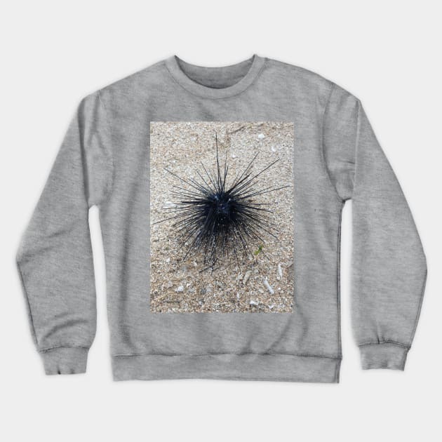 Black Diadem sea urchin in close up on sand beach Crewneck Sweatshirt by kall3bu